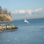 Wójcik Provans