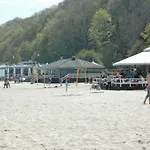 Wójcik Provans *