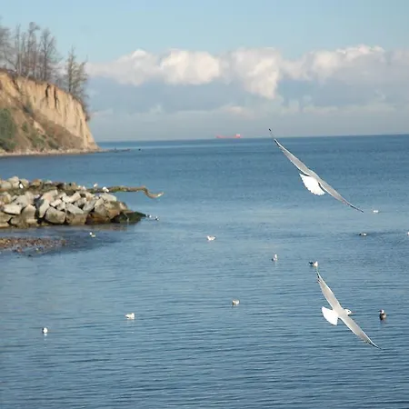 شقة Wojcik Provans غدينيا