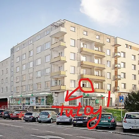 Wojcik Provans Gdynia