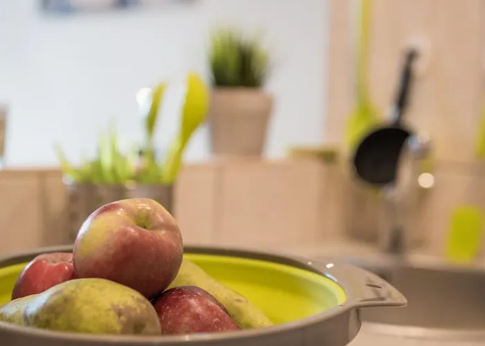 Wojcik Provans Gdynia