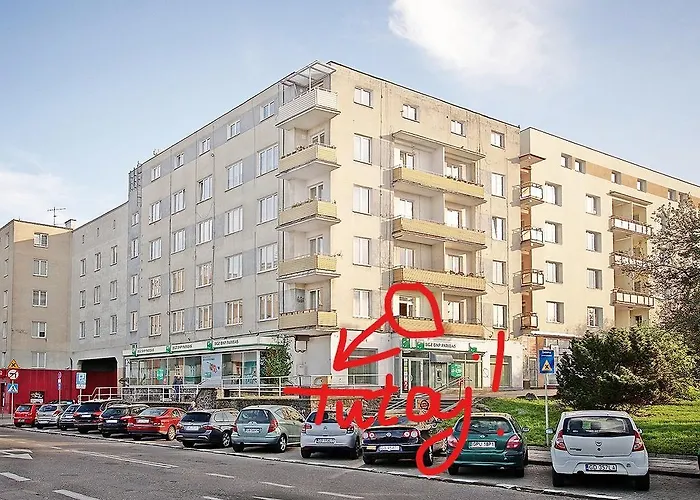 Wojcik Provans Gdynia