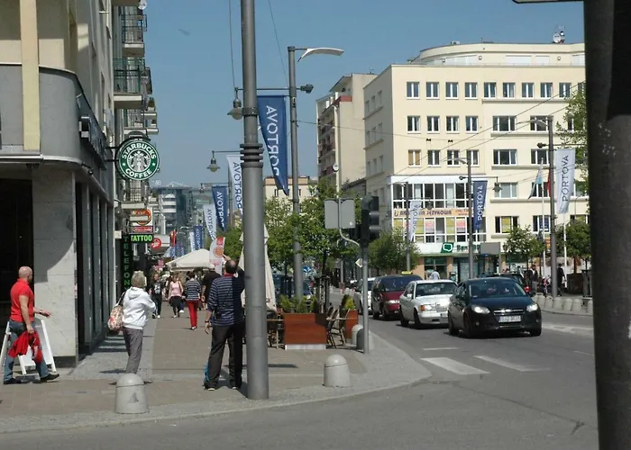 Wojcik Provans * Gdynia